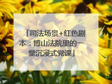 司法场景+红色剧本：博山法院里的一堂沉浸式党课